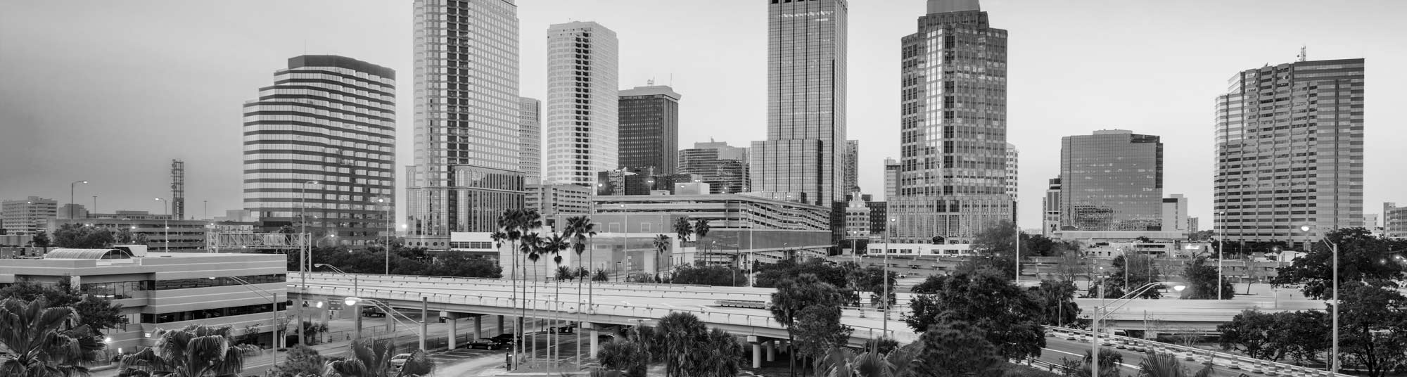 Tampa Banner